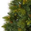 Lighted Artificial Pine Christmas Tree-139987002