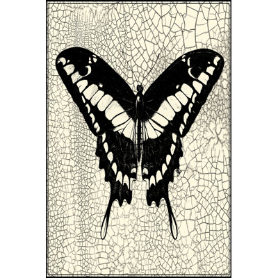 Papillon classique IV