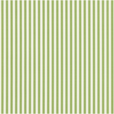 Arboretum Wallpaper Roll