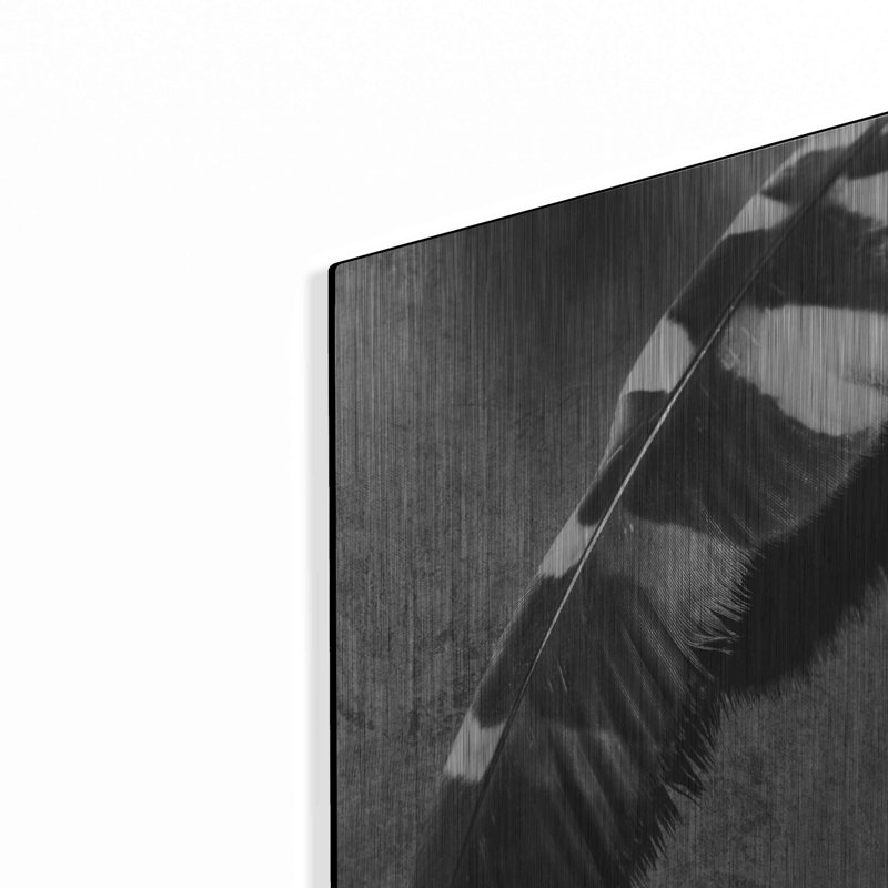 «Feather Shadow II» par Debra Van Swearingen, H 16 po x l 12 po