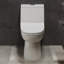 Daxton One Piece Elongated Dual Flush Toilet
