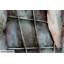 Mundo Magnfico metal print