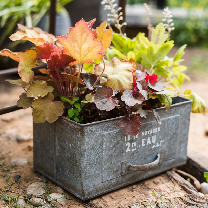 Slavens Metal Planter Box, 6" H x 10" W x 5" D