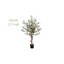 Olive artificielle en pot-1527848765
