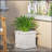 MGO PLANTER