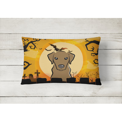 Outdoor Throw Pillow