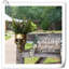 Vase mural Kalesia-305085778