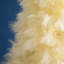 Artificial Off-White Pampas Grass Christmas Tree-1611007715