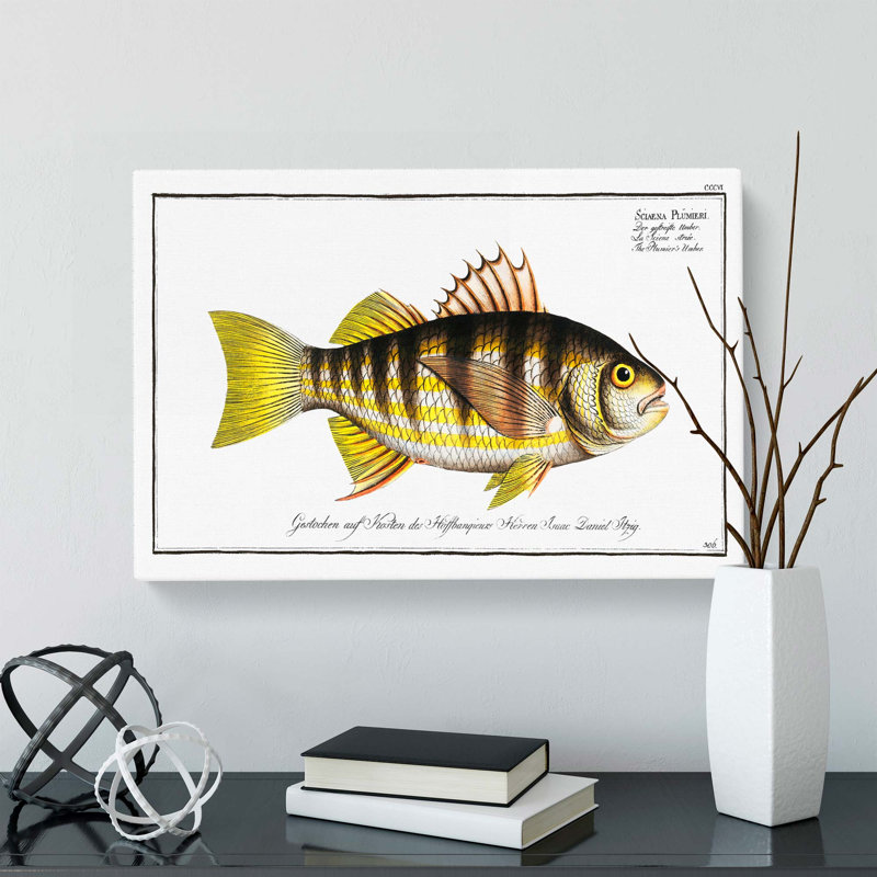 Plumier's Umber Fish by M.E. Bloch - Wrapped Canvas Painting, 50cm H x 76cm W x 3cm D