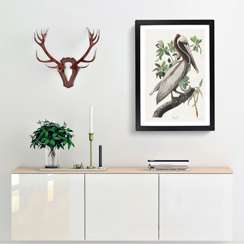 Brown Pelican by John Audubon - Picture Frame Graphic Art Print, Black Framed, 65cm H x 48cm W x 2cm D
