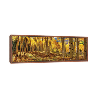 «Autumn Aspen Colorado Forest Panorama», reproduction de photo panoramique sur toile