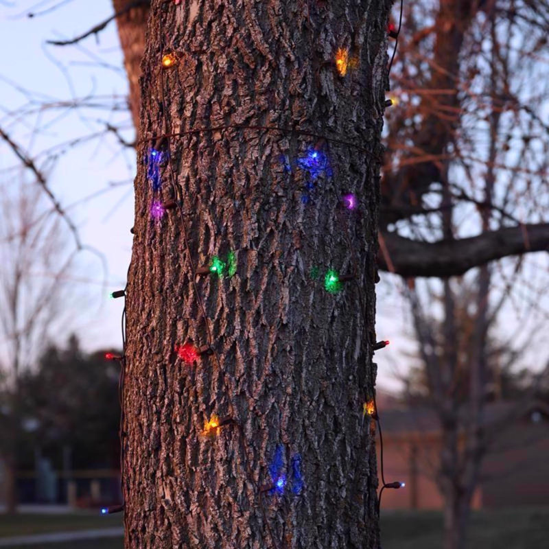 Mini lumières de Noël en forme de filet à DEL multicolores en platine 100 pi Celebrations, Multi-couleur