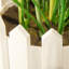 Tulipes rouges en pot 11 po Primrue