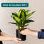 FLHPOT Ceramic Pot Planter-219634316