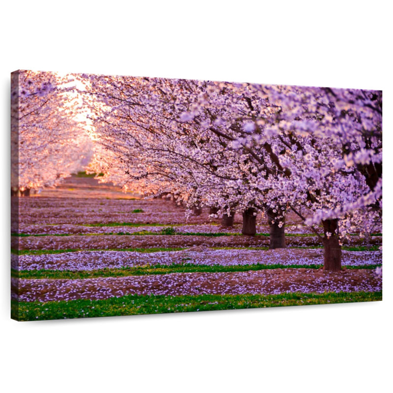 Alvord, Californie, arbres Sakura, H 16 po x l 24 po