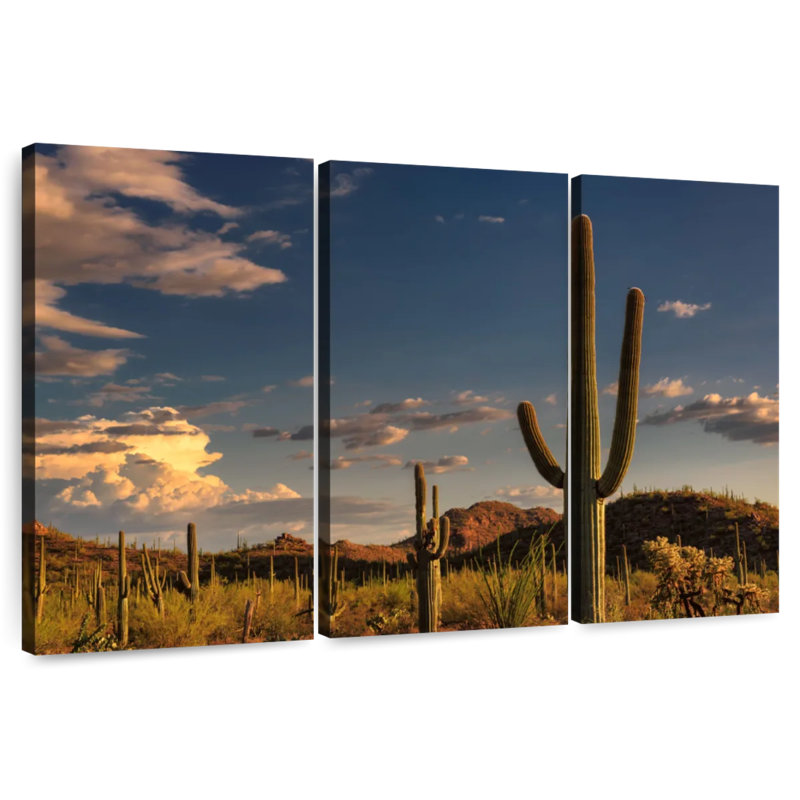 Harnek Tucson Desert Cactus, 28" H x 45" W