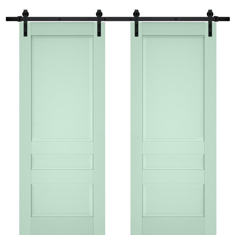 Portes de grange à panneaux en bois Veregio, 60 po x 96 po, Olive