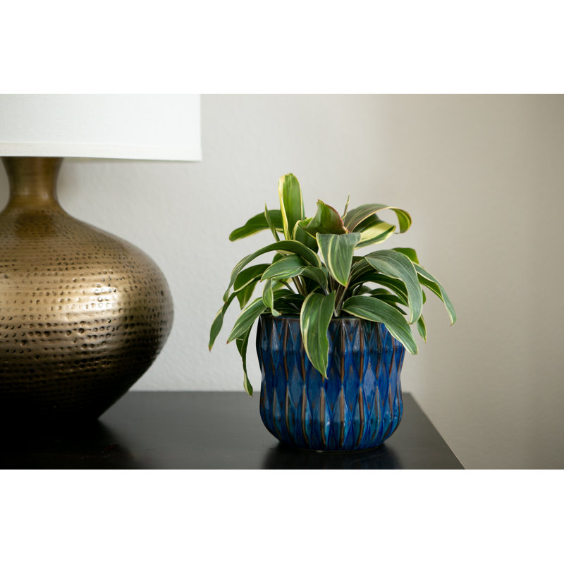8 in. Beams Plntr - Blue, Blue