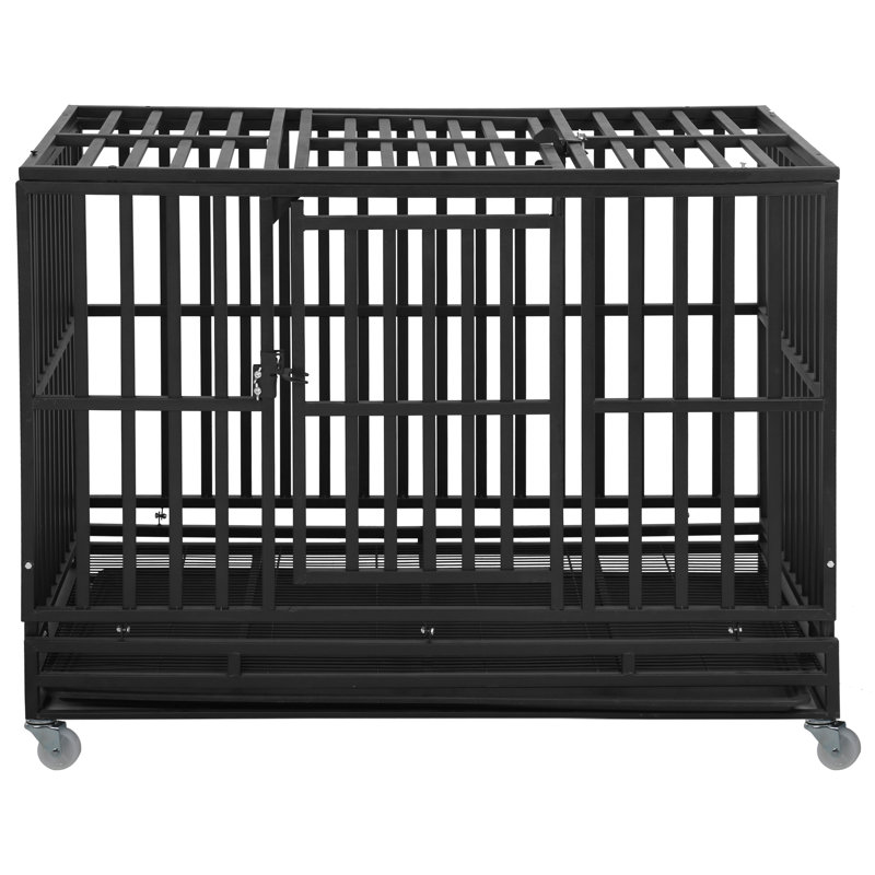 Caisse pour chien