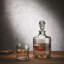 Shade 3 - Piece Whiskey Decanter Set