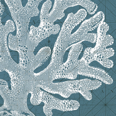 Coastal Menagerie II - Wrapped Canvas Painting