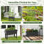 Elevated Planter
