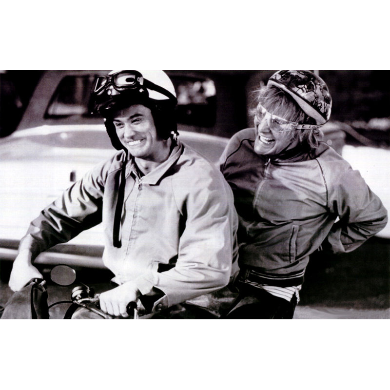Dumb et Dumber, H 15 po x l 24 po
