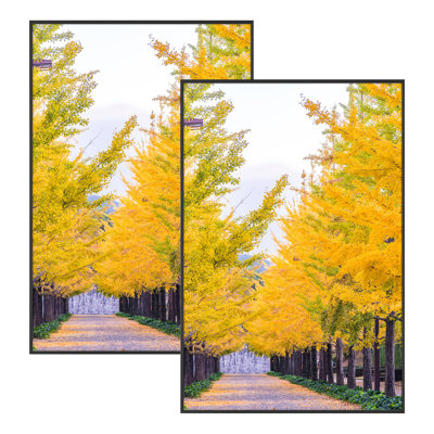 Cadre pour affiche sans passe-partout, cadre photo en métal avec plexiglas, suspension murale - Basics by Wayfair ™
