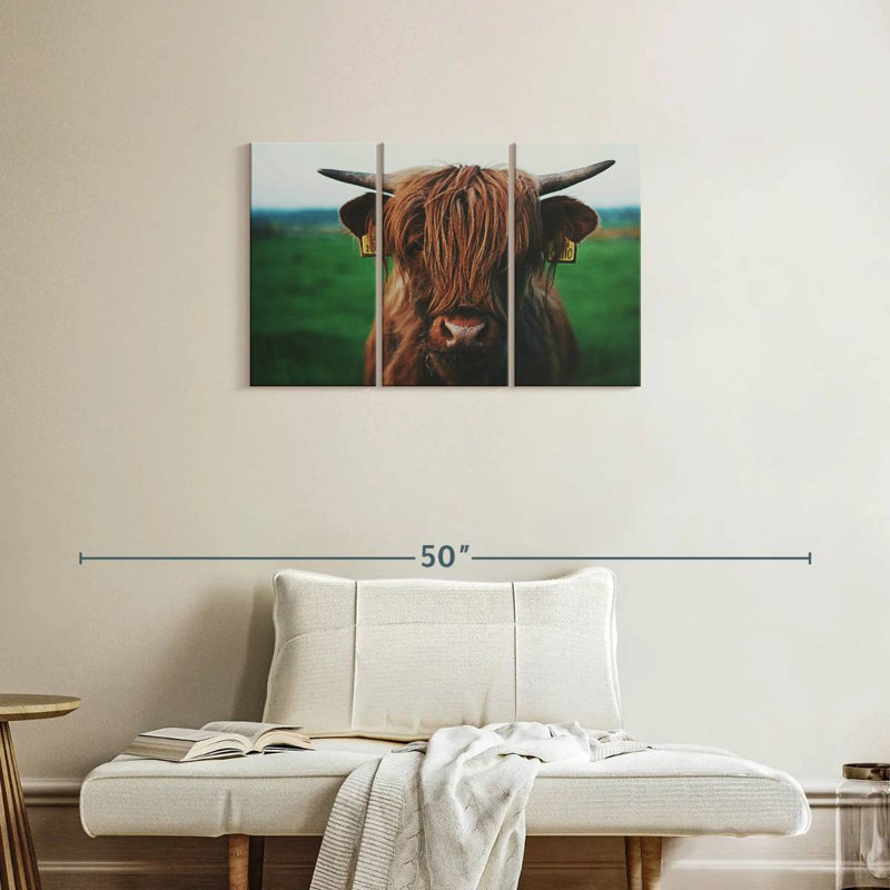 Highland Cow Close Up, 20" H x 33" W