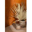 Ceramic Planter-903305229