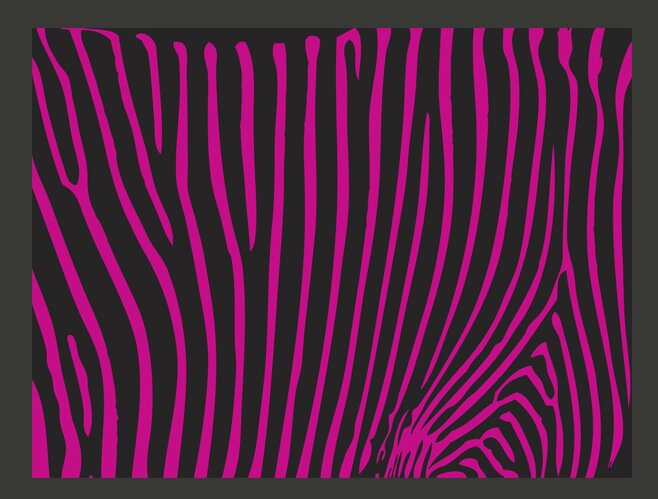 Fototapete Zebra Pattern 2,31 m x 300 cm