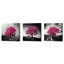 «Vibrant Tree Series: Magenta Triptych (Ensemble de 3)», art mural sur toile-24714586