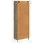 Storage Cabinet-1803855882
