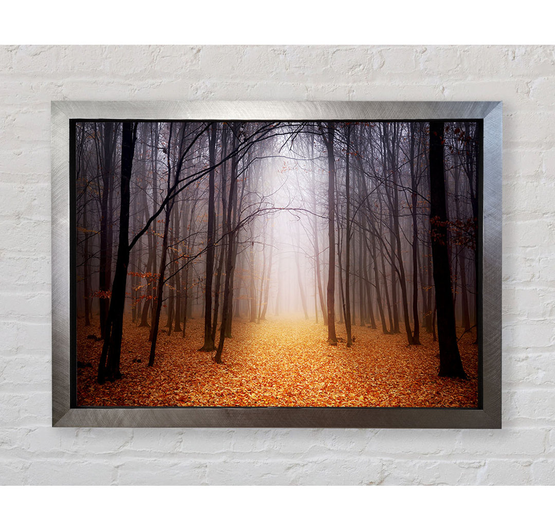 Autumn Mist - Print