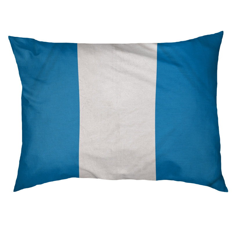 Coussin Cleveland, Grand (l 50 po x P 40 po x H 7 po), Bleu poudre / Blanc