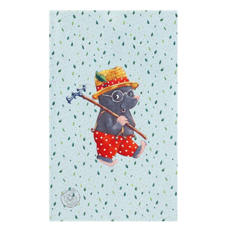 100cm X 160cm Area Rug