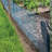 Silver Metal Fencing-26003205