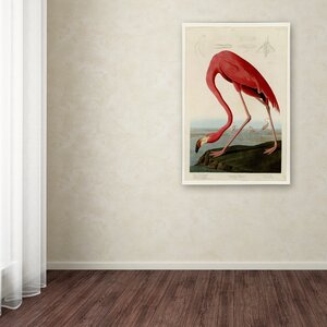 American Flamingo by James Audubon - Wrapped Canvas Painting Print