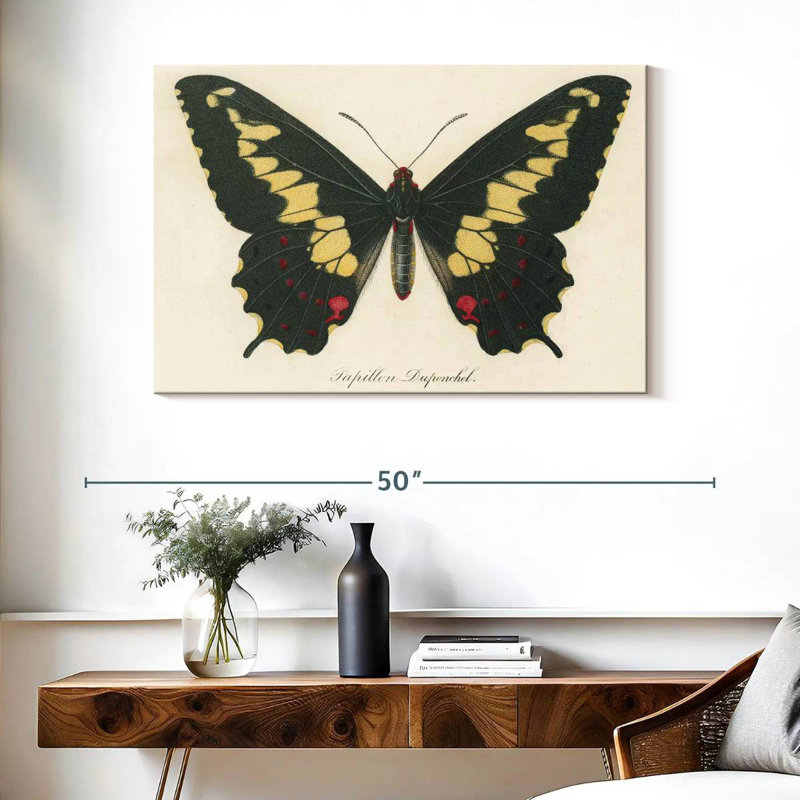 Brampt Natures Butterfly VI, 26" H x 39" W