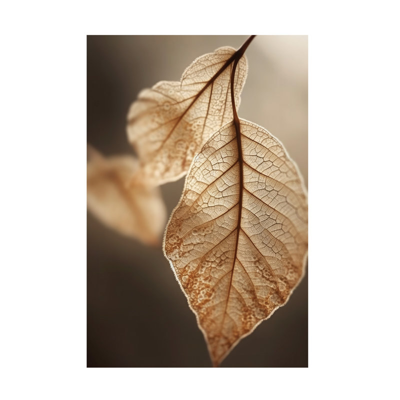 Art sur toile Leaf, H 16 po x l 24 po