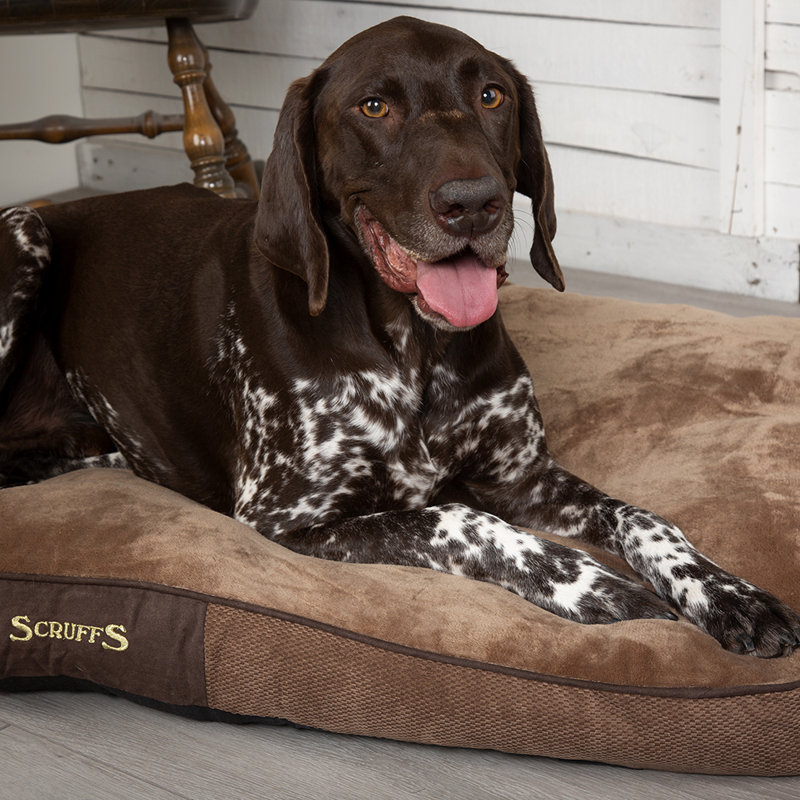 Chester Polyester Pet Bed, Chocolate/Tan