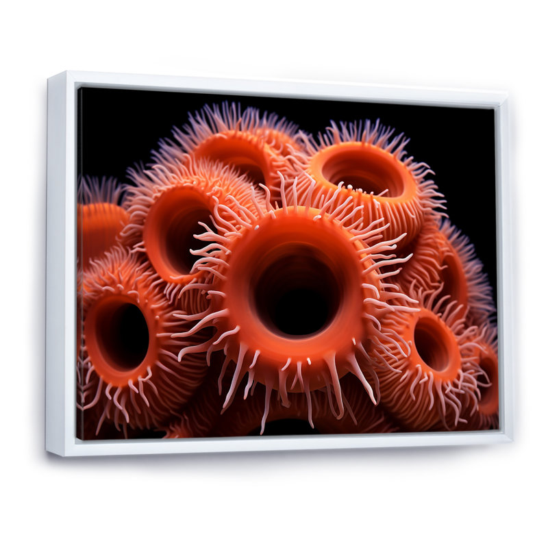 " Orange Giant Plumose Anemone ", 16" H x 32" W x 1" D, White Floater Framed