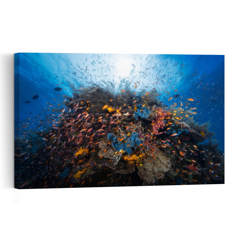 Vibrant Coral Reef Colorful Vibrant Fish Nature Ocean Wall Art Print 1 Piece Wrapped Canvas Wall Art, 30.48cm H x 45.72cm W