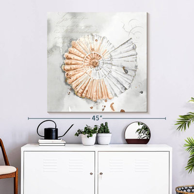 Aletra Blush Shell II