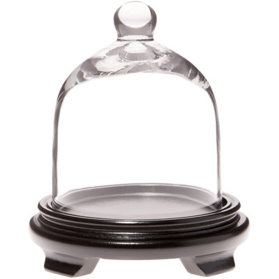 5" x 6" Bell Jar Glass Display Dome Cloche
