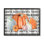 «Thankful Grateful», citrouilles de ferme écossaises grises - peinture