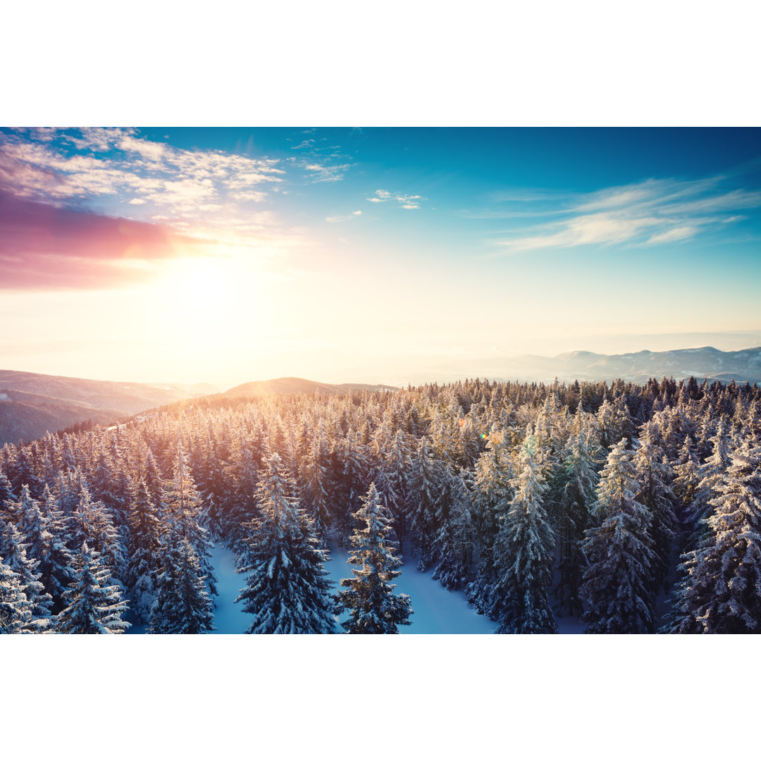 Wintersonnenuntergänge von Borchee - Druck auf Leinwand ohne Rahmen