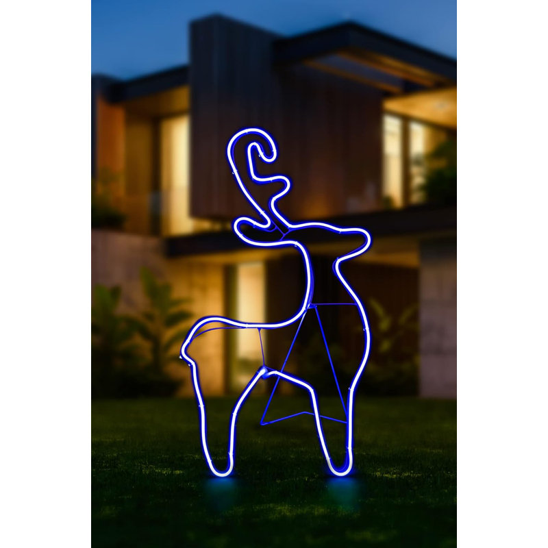 LED Indoor / Outdoor Rope Light, Blue