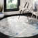 Odin Abstract Gray Area Rug