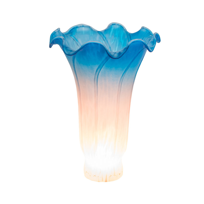 Novelty Lamp Shade